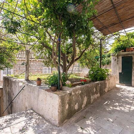 Summer Day Room Ντουμπρόβνικ Εξωτερικό φωτογραφία
