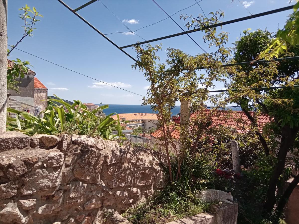 Summer Day Room Ντουμπρόβνικ Εξωτερικό φωτογραφία